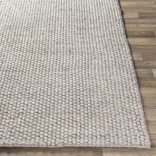 Surya Lucerne LNE-1002 Light Gray 2' x 3' Rug