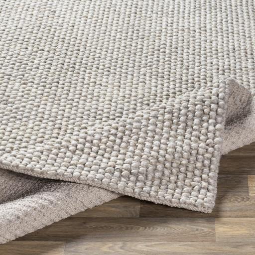 Surya Lucerne LNE-1002 Light Gray 2' x 3' Rug