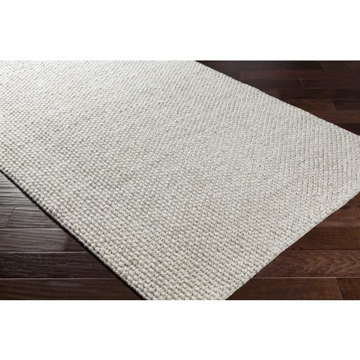 Surya Lucerne LNE-1002 Light Gray 2' x 3' Rug