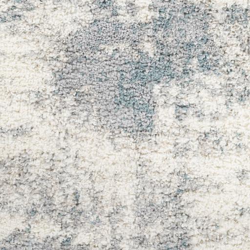 Surya Lyra Shag LYR-2301 Blue Cream 2' x 3' Rug