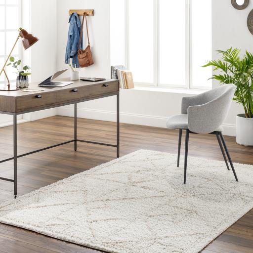 Surya Maryland Shag MSG-2300 Ivory Off-White 5'3" x 7' Rug