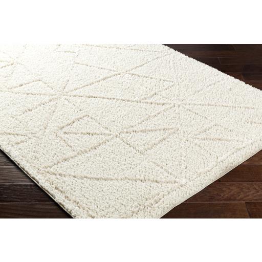 Surya Maryland Shag MSG-2300 Ivory Off-White 5'3" x 7' Rug