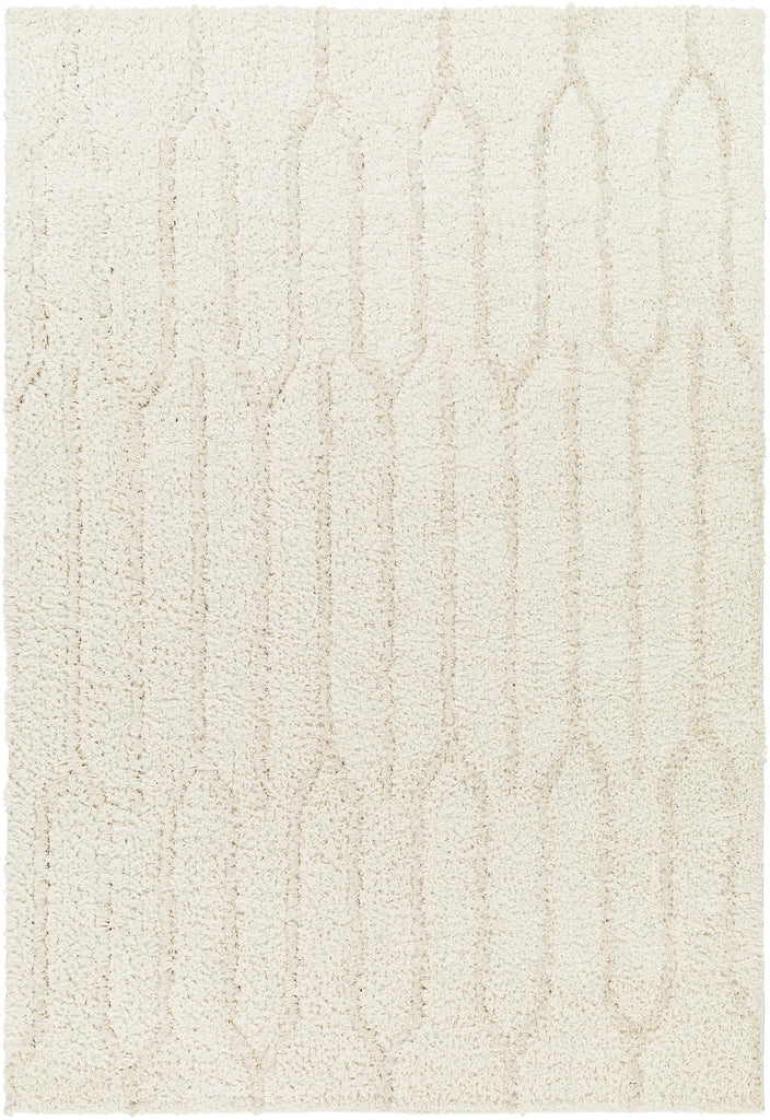 Surya Maryland Shag MSG-2301 Ivory Off-White 5'3" x 7' Rug