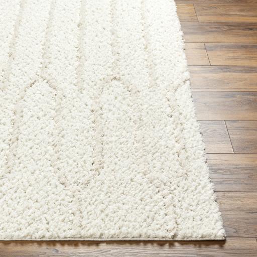 Surya Maryland Shag MSG-2301 Ivory Off-White 5'3" x 7' Rug