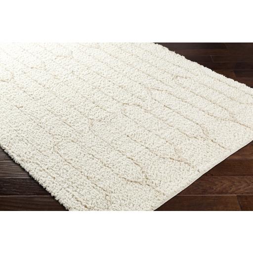 Surya Maryland Shag MSG-2301 Ivory Off-White 5'3" x 7' Rug