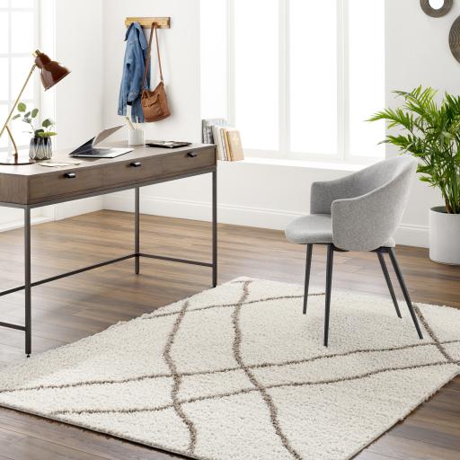 Surya Maryland Shag MSG-2302 Medium Gray Off-White 5'3" x 7' Rug