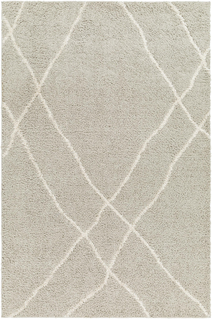 Surya Maryland Shag MSG-2303 Charcoal Off-White 5'3" x 7' Rug