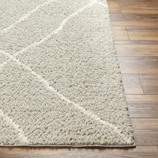 Surya Maryland Shag MSG-2303 Charcoal Off-White 5'3" x 7' Rug