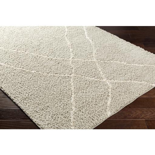 Surya Maryland Shag MSG-2303 Charcoal Off-White 5'3" x 7' Rug