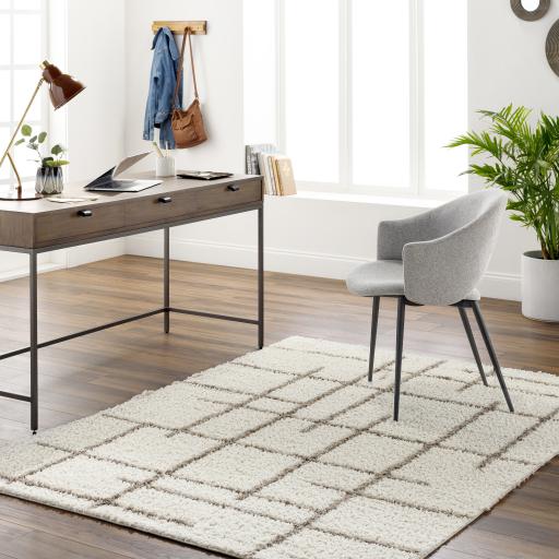 Surya Maryland Shag MSG-2304 Medium Gray Off-White 5'3" x 7' Rug