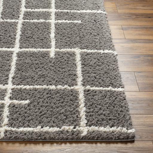 Surya Maryland Shag MSG-2305 Dark Brown Medium Gray 5'3" x 7' Rug