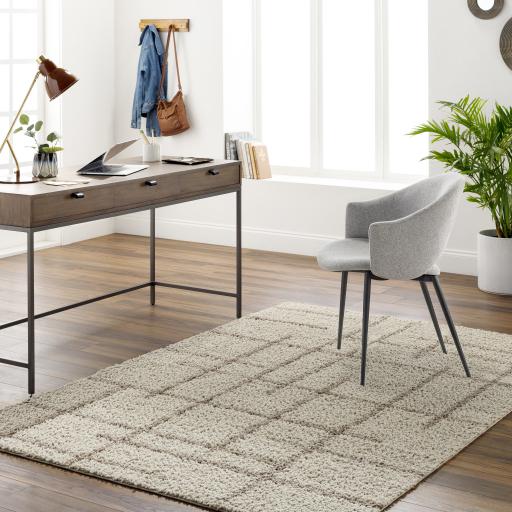 Surya Maryland Shag MSG-2306 Dark Brown Ivory 5'3" x 7' Rug