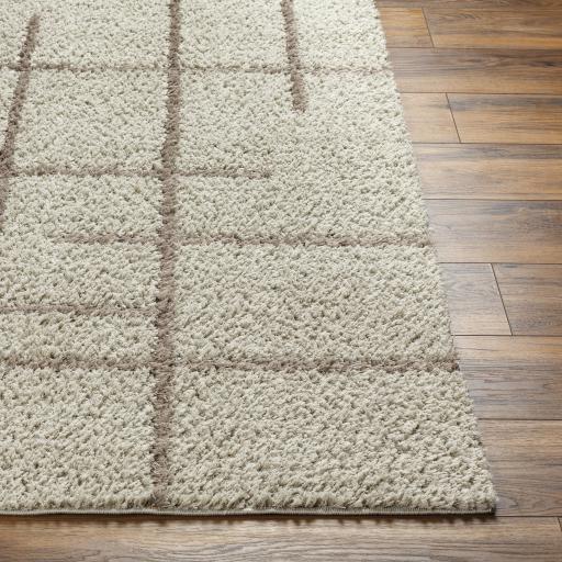 Surya Maryland Shag MSG-2306 Dark Brown Ivory 5'3" x 7' Rug