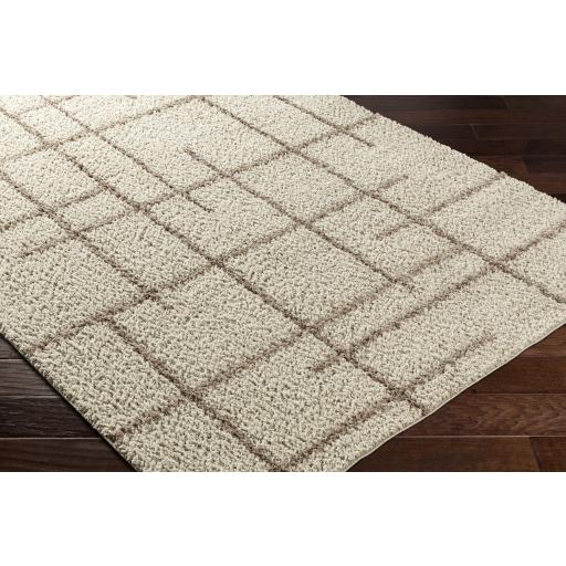 Surya Maryland Shag MSG-2306 Dark Brown Ivory 5'3" x 7' Rug