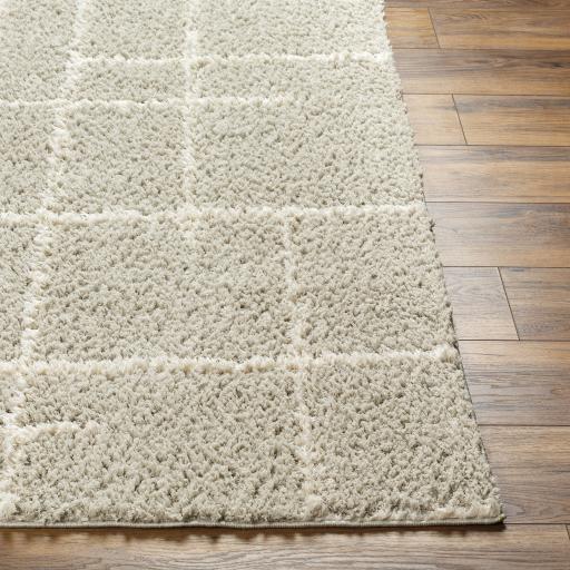 Surya Maryland Shag MSG-2307 Dark Brown Off-White 5'3" x 7' Rug