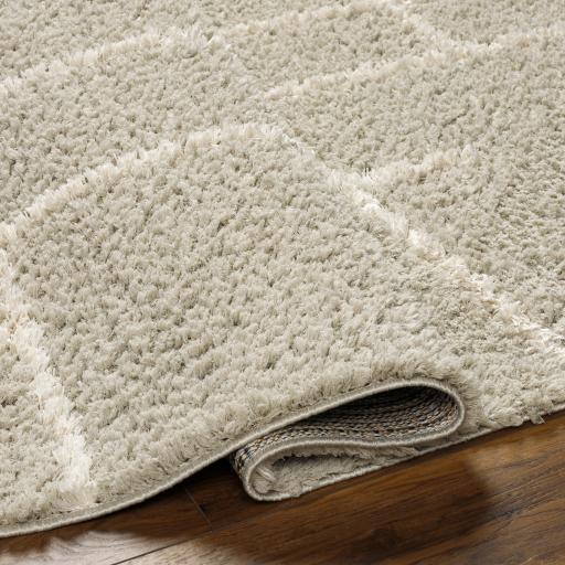 Surya Maryland Shag MSG-2307 Dark Brown Off-White 5'3" x 7' Rug