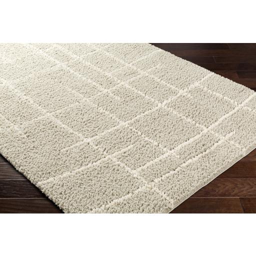 Surya Maryland Shag MSG-2307 Dark Brown Off-White 5'3" x 7' Rug