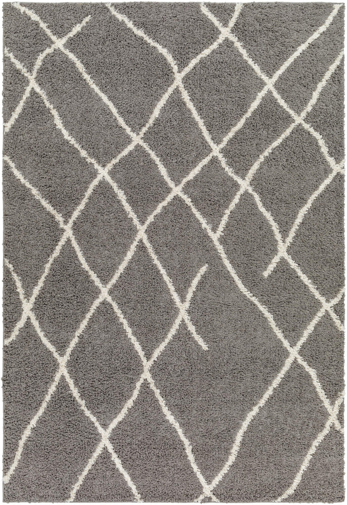 Surya Maryland Shag MSG-2308 Dark Brown Off-White 5'3" x 7' Rug