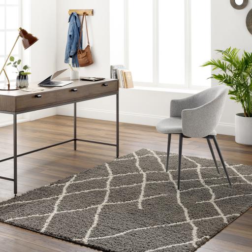 Surya Maryland Shag MSG-2308 Dark Brown Off-White 5'3" x 7' Rug