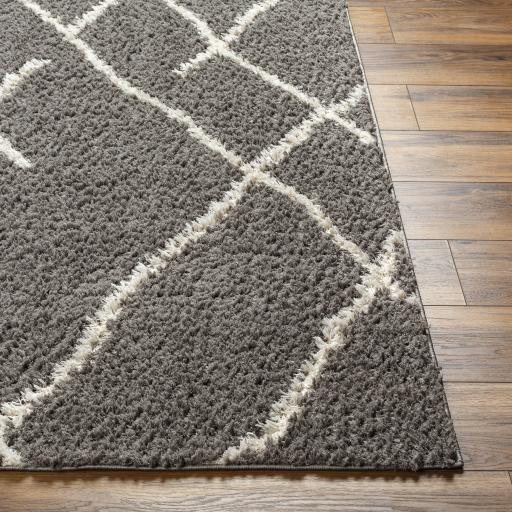 Surya Maryland Shag MSG-2308 Dark Brown Off-White 5'3" x 7' Rug