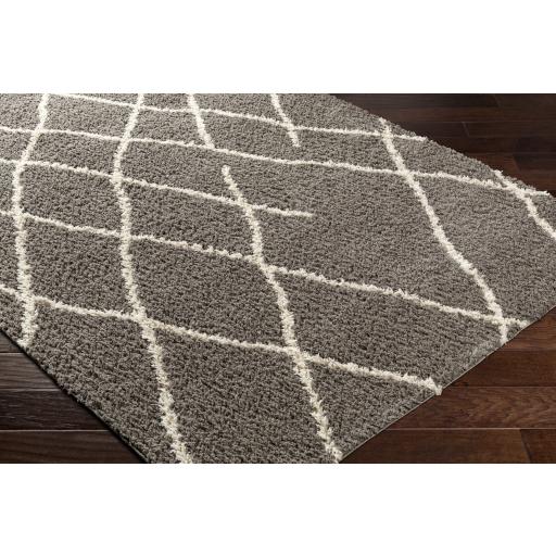 Surya Maryland Shag MSG-2308 Dark Brown Off-White 5'3" x 7' Rug