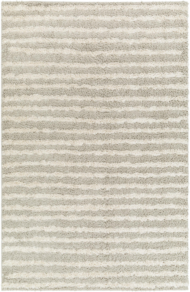 Surya Maryland Shag MSG-2309 Medium Gray Off-White 5'3" x 7' Rug