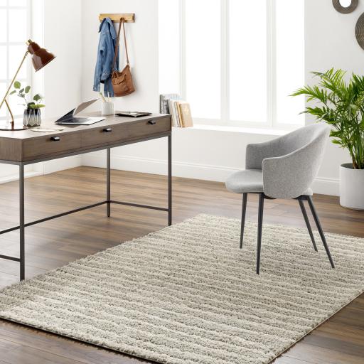 Surya Maryland Shag MSG-2309 Medium Gray Off-White 5'3" x 7' Rug