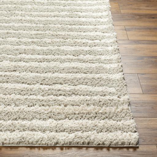 Surya Maryland Shag MSG-2309 Medium Gray Off-White 5'3" x 7' Rug