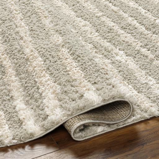 Surya Maryland Shag MSG-2309 Medium Gray Off-White 5'3" x 7' Rug