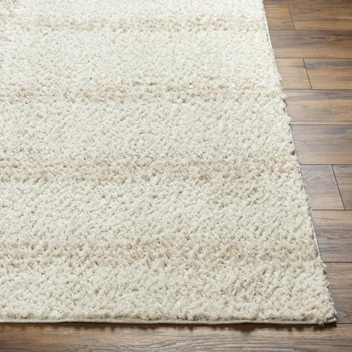 Surya Maryland Shag MSG-2310 Off-White White 5'3" x 7' Rug