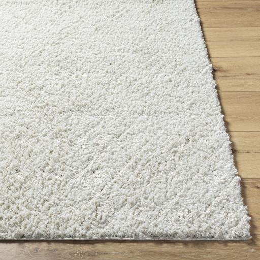 Surya Maryland Shag MSG-2311 Off-White White 5'3" x 7' Rug