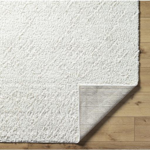 Surya Maryland Shag MSG-2311 Off-White White 5'3" x 7' Rug