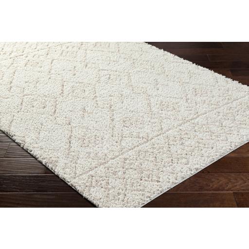 Surya Maryland Shag MSG-2311 Off-White White 5'3" x 7' Rug