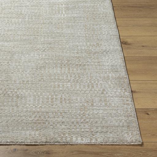 Surya Masterpiece MPC-2305 Light Gray Medium Gray 2'7" x 3'11" Rug