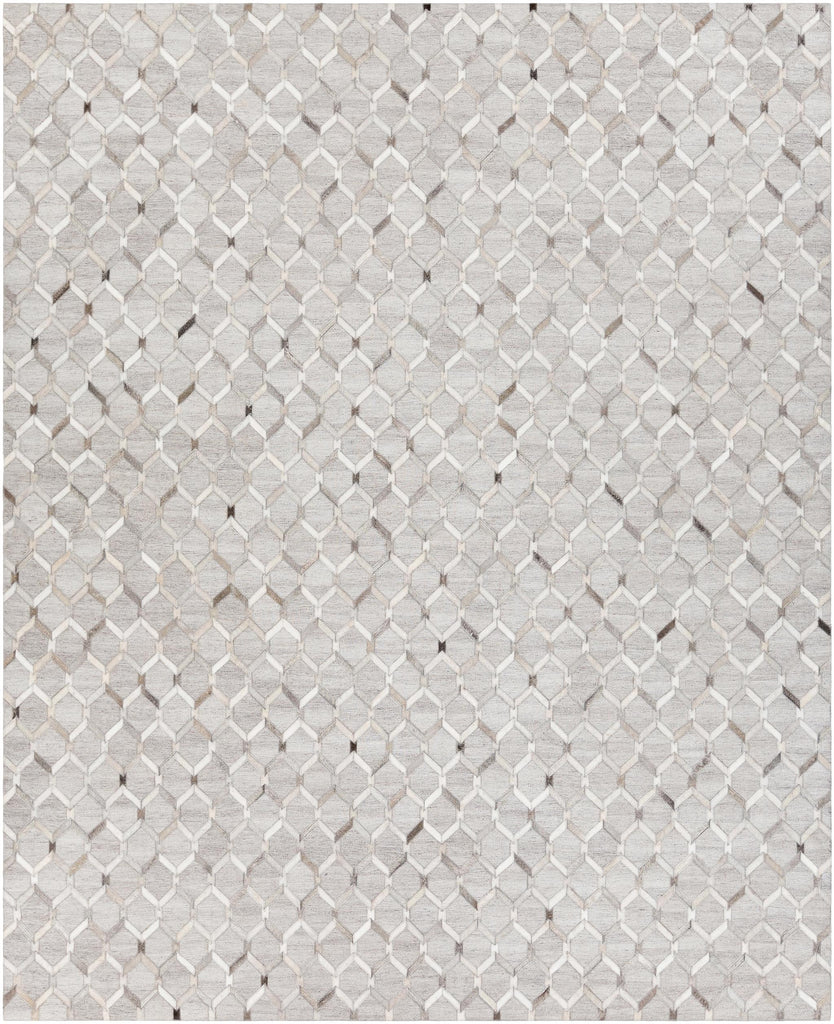 Surya Medora MOD-1010 Charcoal Gray 2' x 3' Rug