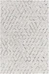 Surya Medora Mod-1010 2' X 3' Rug