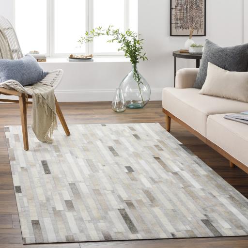 Surya Medora MOD-1016 Brown Ivory 10' x 14' Rug