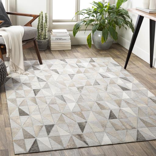 Surya Medora MOD-1022 Beige Charcoal 2' x 3' Rug