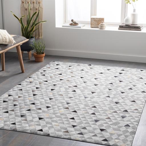 Surya Medora MOD-1025 Black Gray 2' x 3' Rug