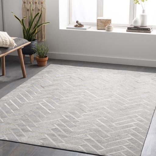 Surya Medora MOD-1026 Cream Light Gray 2' x 3' Rug