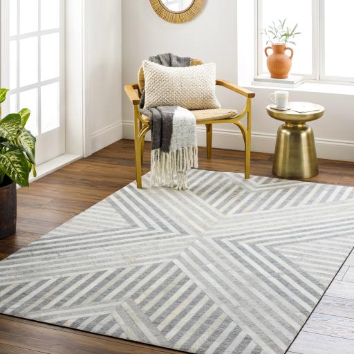 Surya Medora MOD-1028 Beige Cream 2' x 3' Rug