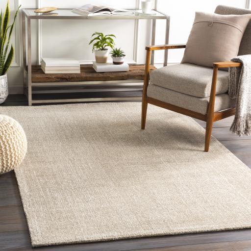 Surya Messina MSN-2300 Light Gray White 2' x 3' Rug