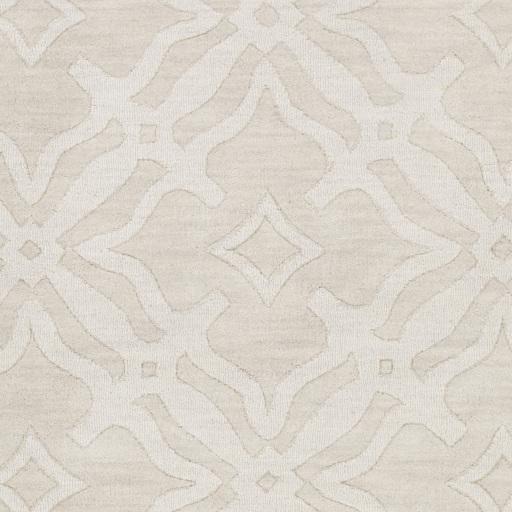 Surya Metro AWMP-4017 Beige Ivory 10' x 14' Rug