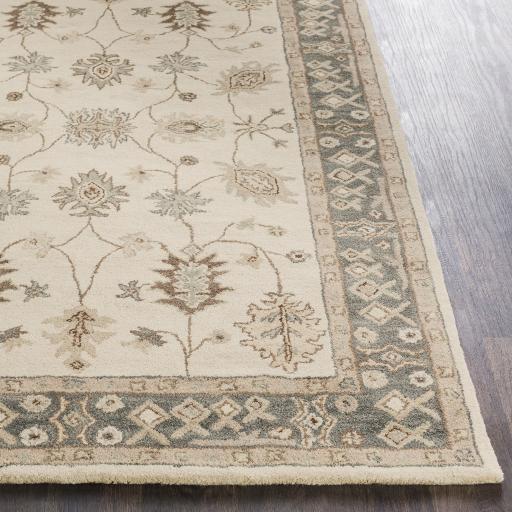 Surya Middleton AWHR-2050 Beige Charcoal 2' x 3' Rug