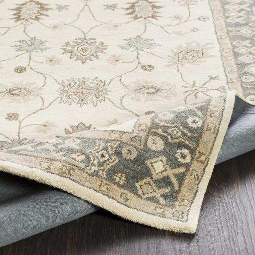 Surya Middleton AWHR-2050 Beige Charcoal 2' x 3' Rug