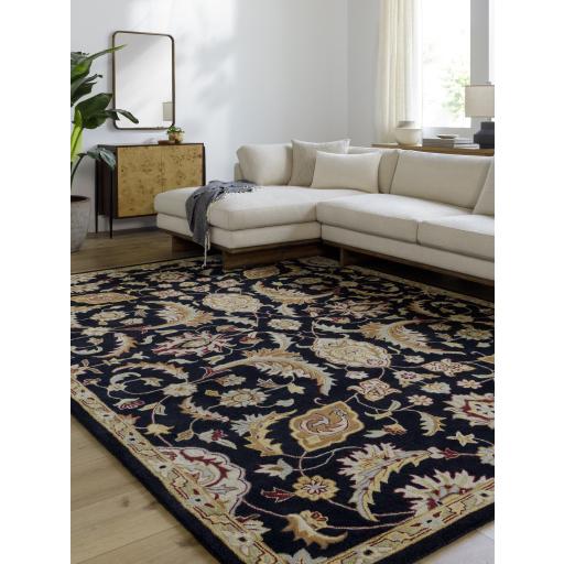 Surya Middleton AWMD-2078 Beige Black 2' x 3' Rug