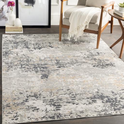 Surya Milano MLN-2301 Charcoal Gray 2' x 2'11" Rug