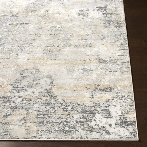 Surya Milano MLN-2303 Charcoal Gray 2' x 2'11" Rug