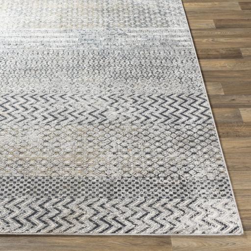 Surya Milano MLN-2308 Charcoal Gray 2' x 3' Rug