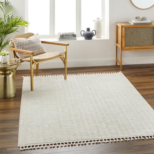 Surya Finland FND-2310 Cream 2'2" x 3'9" Rug